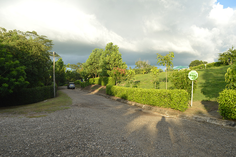 Lotes de Inhumación
