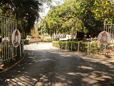 Bienvenidos
